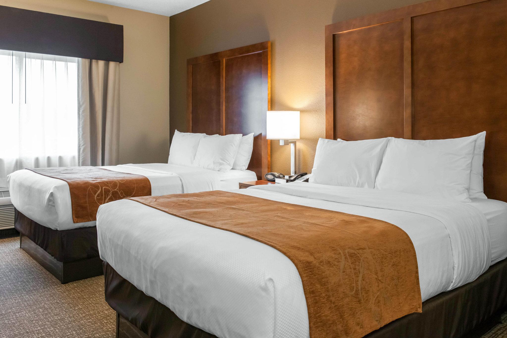 Comfort Suites Terre Haute University Area מראה חיצוני תמונה