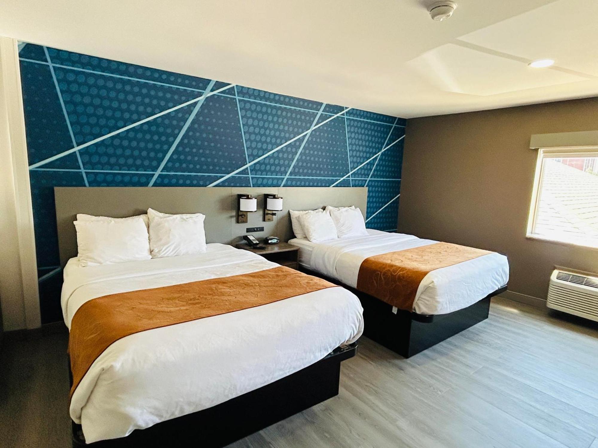 Comfort Suites Terre Haute University Area מראה חיצוני תמונה
